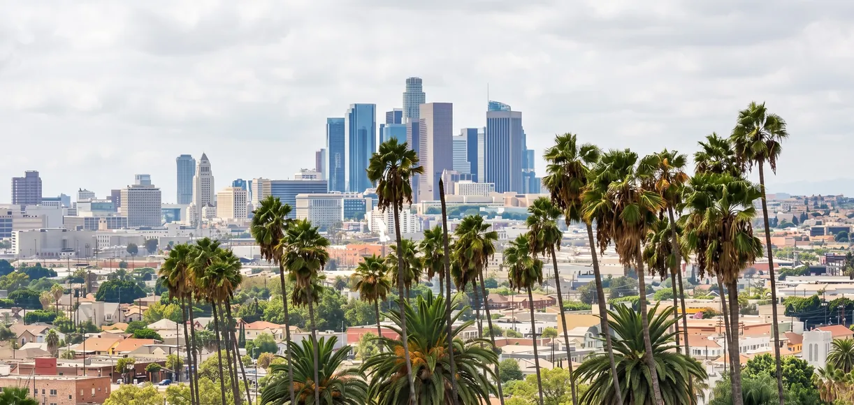 The downtown Los Angeles skyline behind a row of palm trees